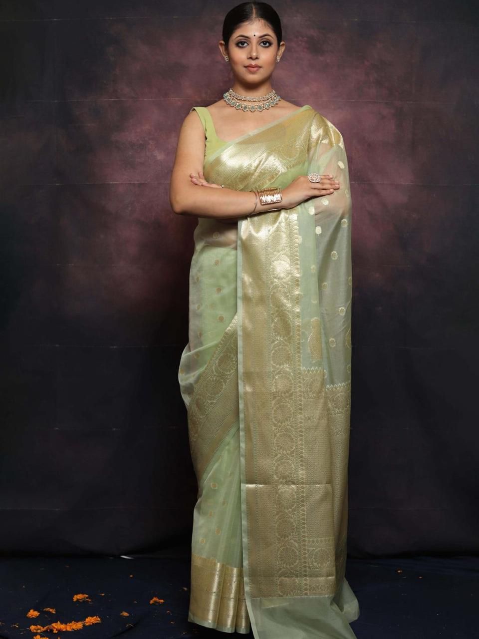 Kanchipuram Organza Saree