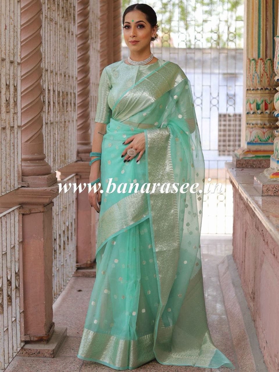 Kanchipuram Organza Saree