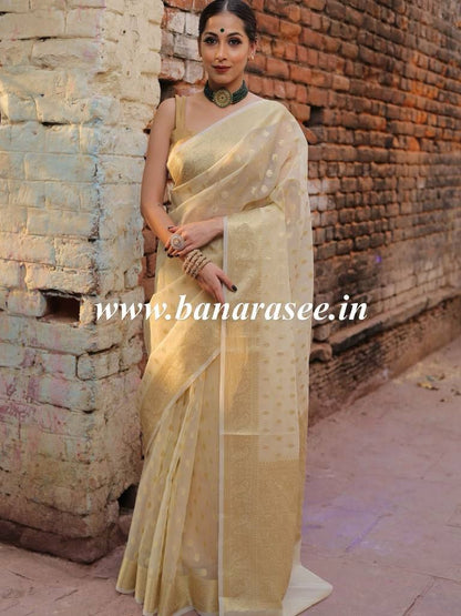 Kanchipuram Organza Saree