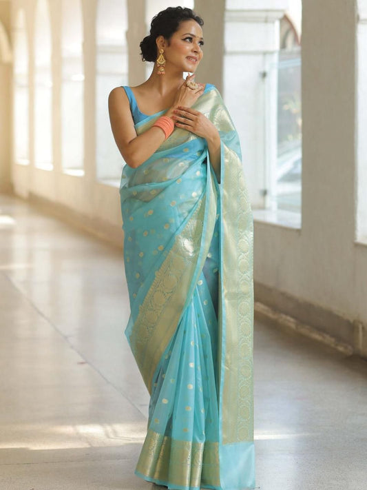 Kanchipuram Organza Saree