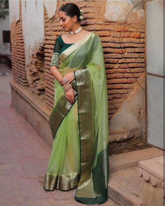 EXCLUSIVE SOLID KORA ORGANZA SAREE