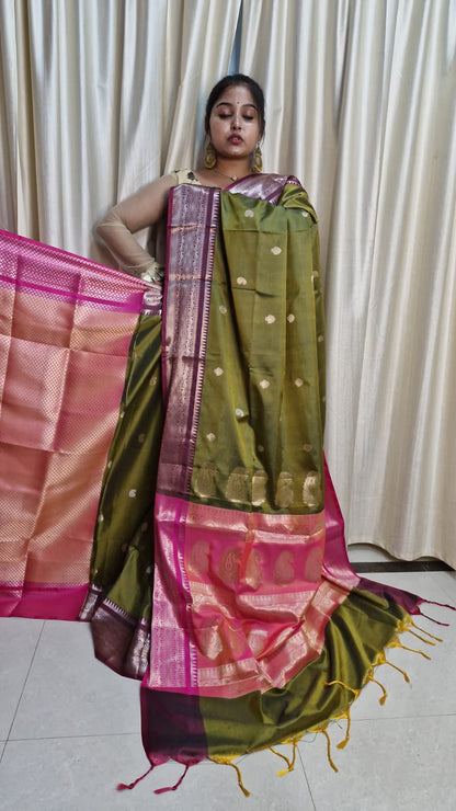 Muga Katan Saree