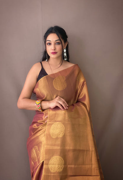 PURE TISSUE SILK SAREE